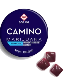 Camino Midnight Blueberry High Dose Gummies
