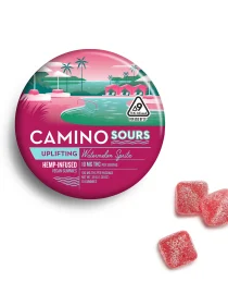 Camino Sours Watermelon Spritz Uplifting