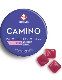 Camino Wild Berry High Dose Gummies